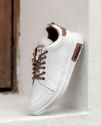 gid://shopify/MediaImage/25707760648262